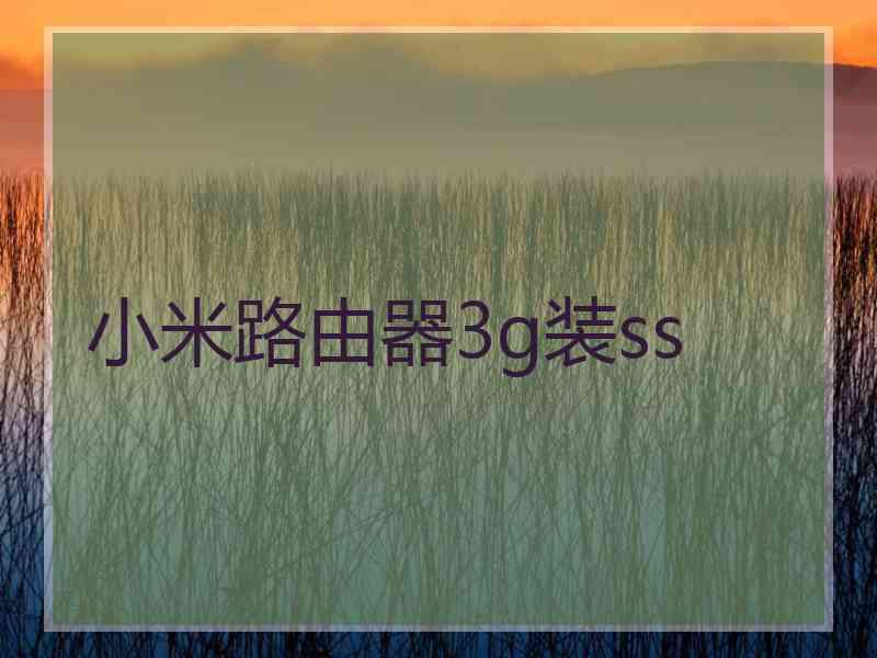 小米路由器3g装ss