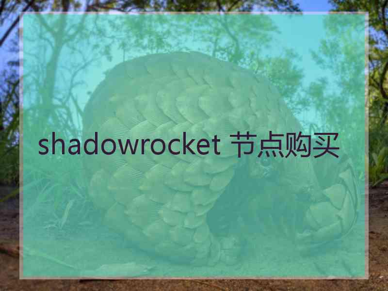 shadowrocket 节点购买