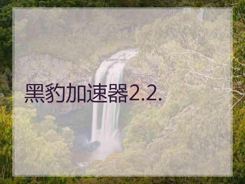 黑豹加速器2.2.