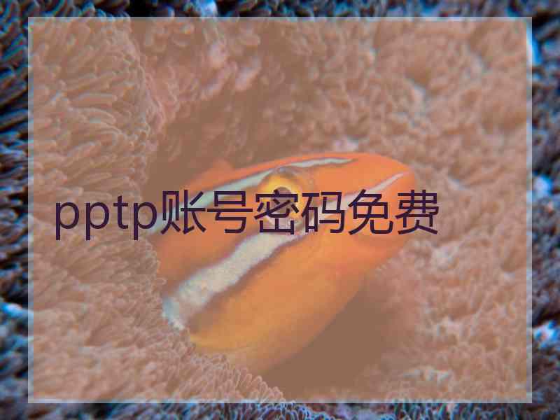 pptp账号密码免费