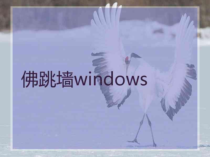 佛跳墙windows