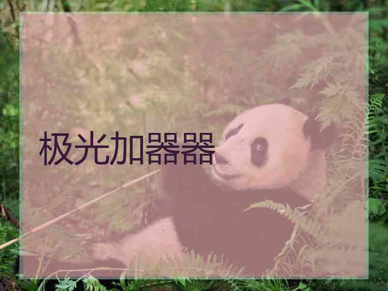 极光加器器