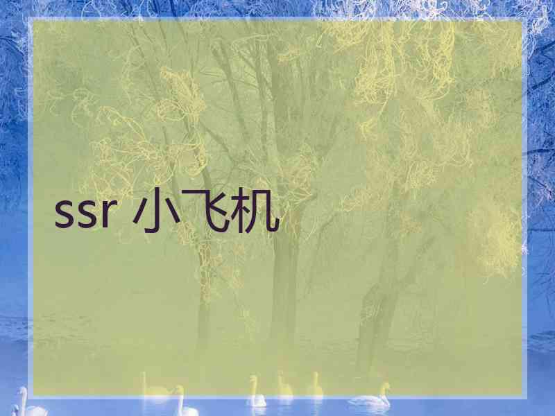 ssr 小飞机