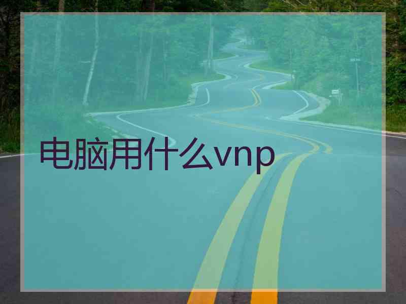 电脑用什么vnp