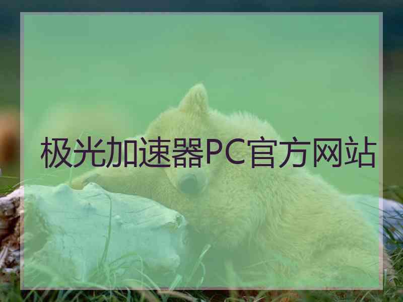 极光加速器PC官方网站