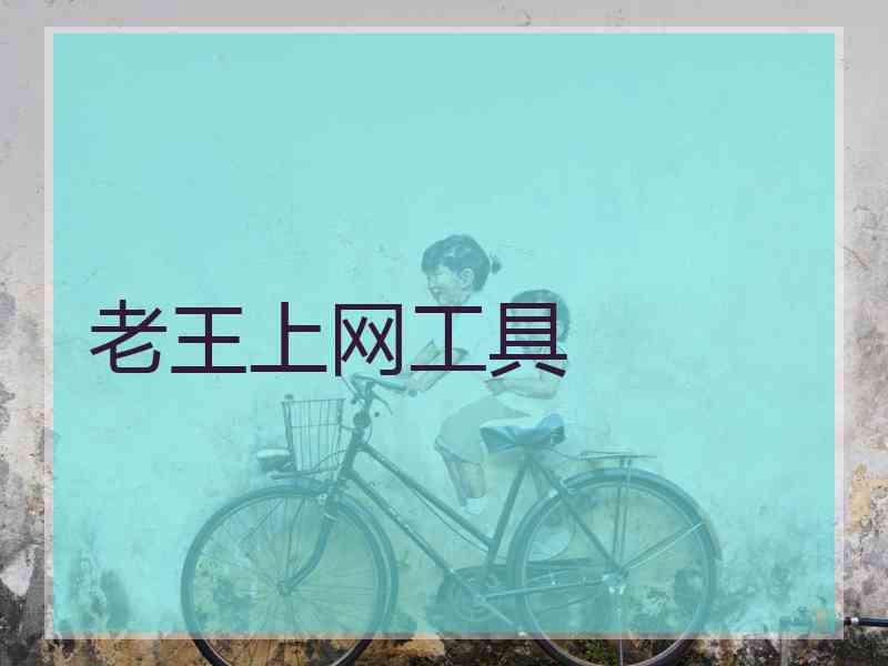 老王上网工具