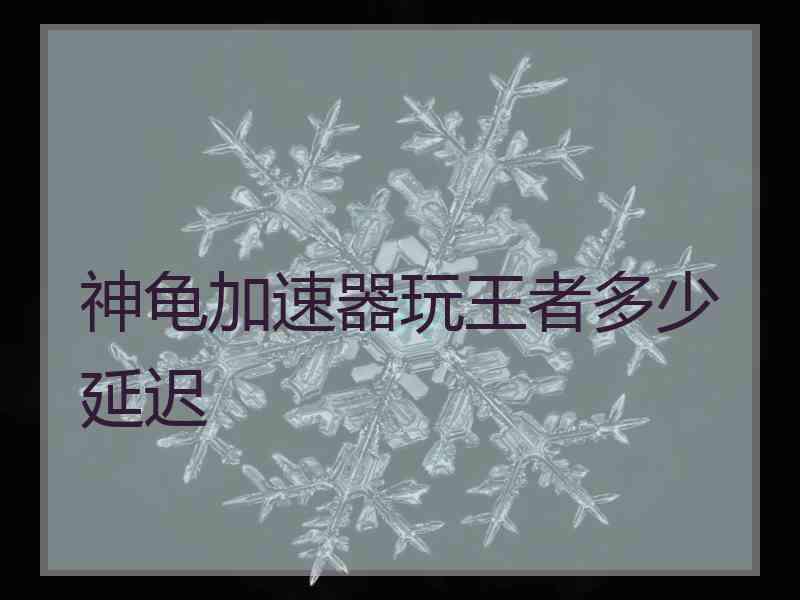 神龟加速器玩王者多少延迟