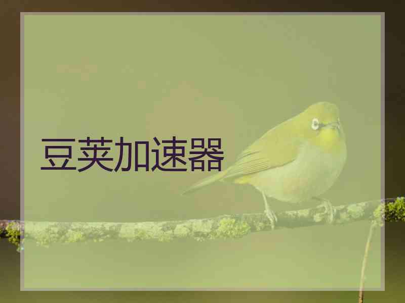 豆荚加速器