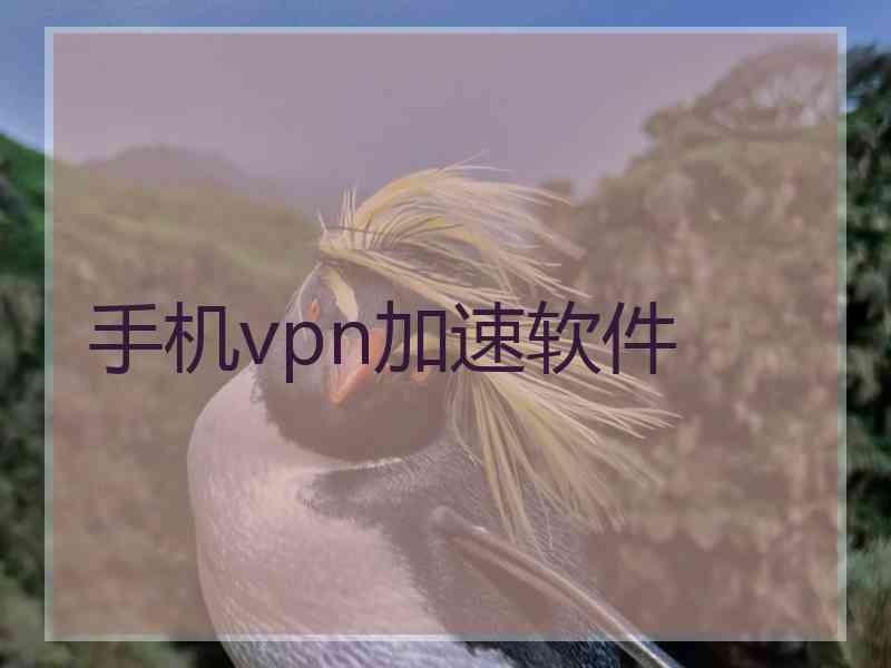 手机vpn加速软件