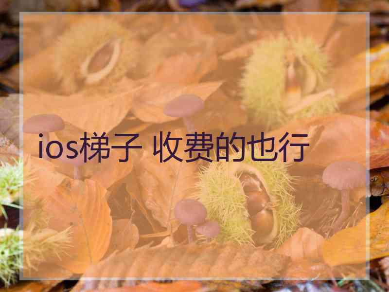 ios梯子 收费的也行