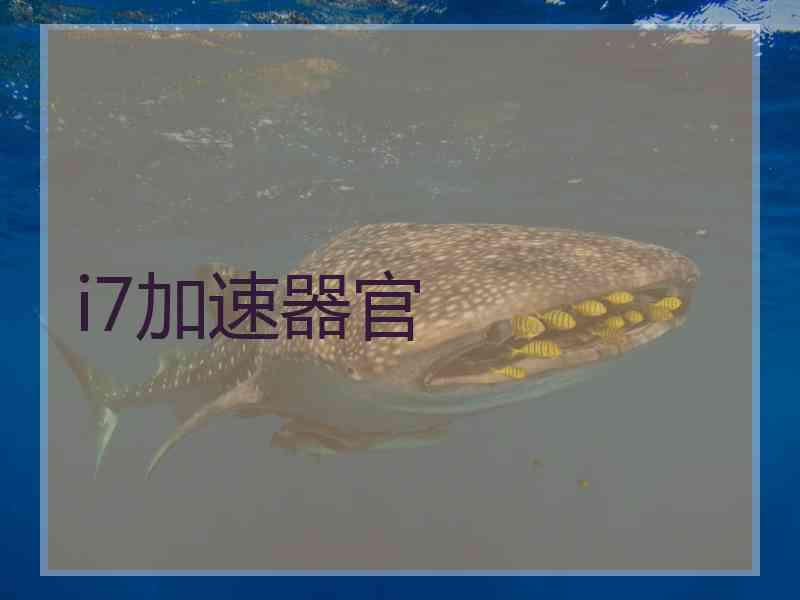 i7加速器官