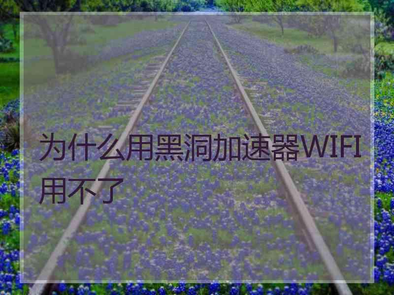 为什么用黑洞加速器WIFI用不了