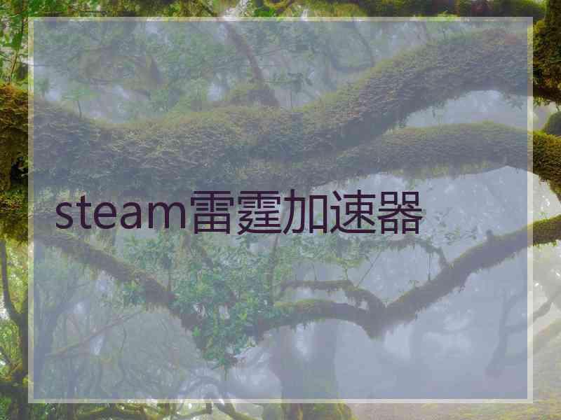 steam雷霆加速器