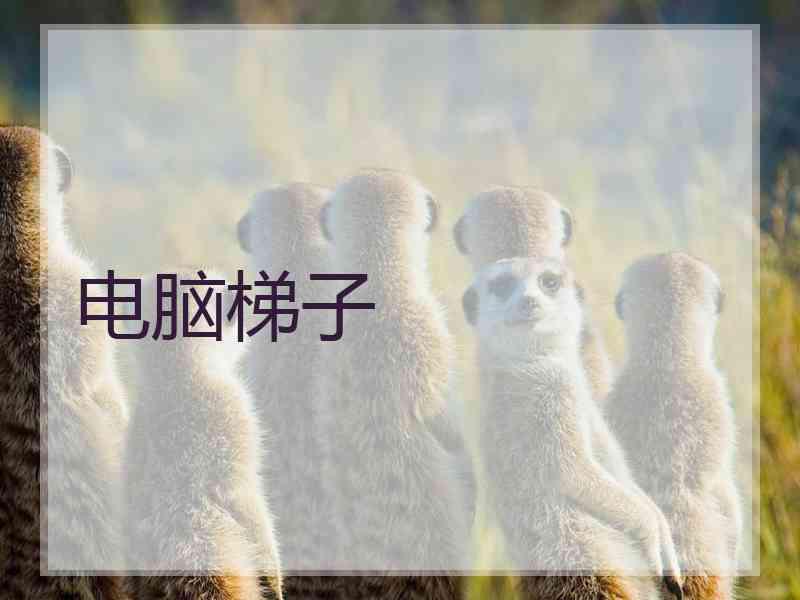 电脑梯子