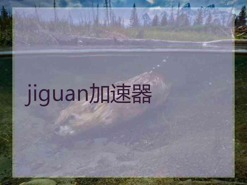 jiguan加速器