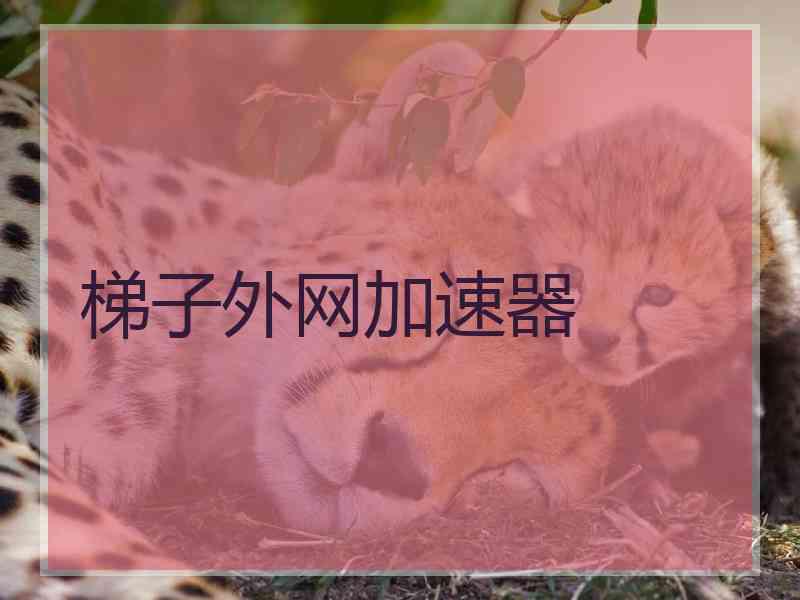 梯子外网加速器