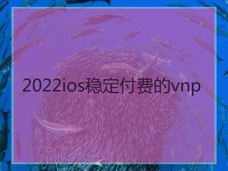 2022ios稳定付费的vnp