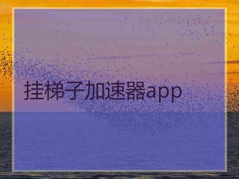 挂梯子加速器app