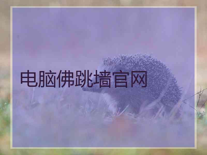 电脑佛跳墙官网