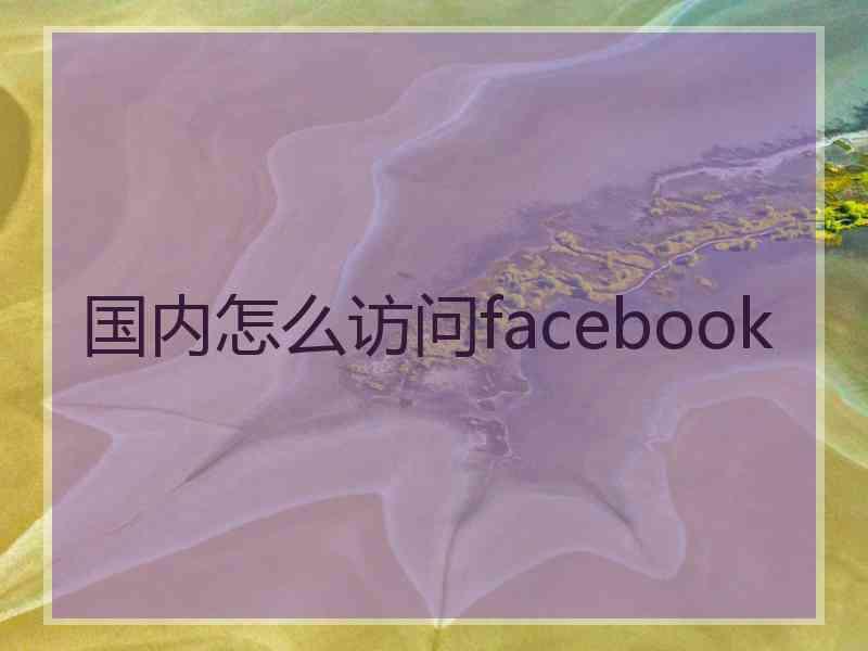 国内怎么访问facebook