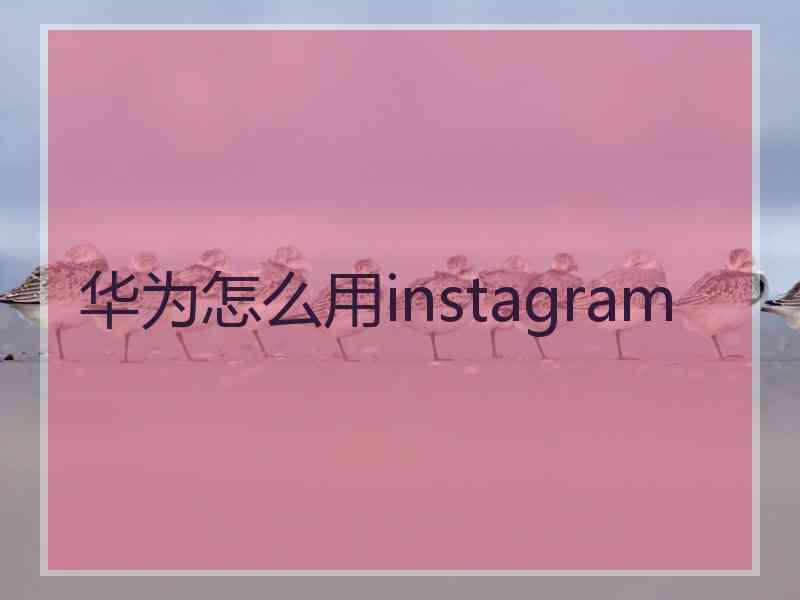 华为怎么用instagram