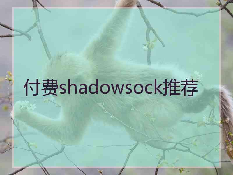 付费shadowsock推荐