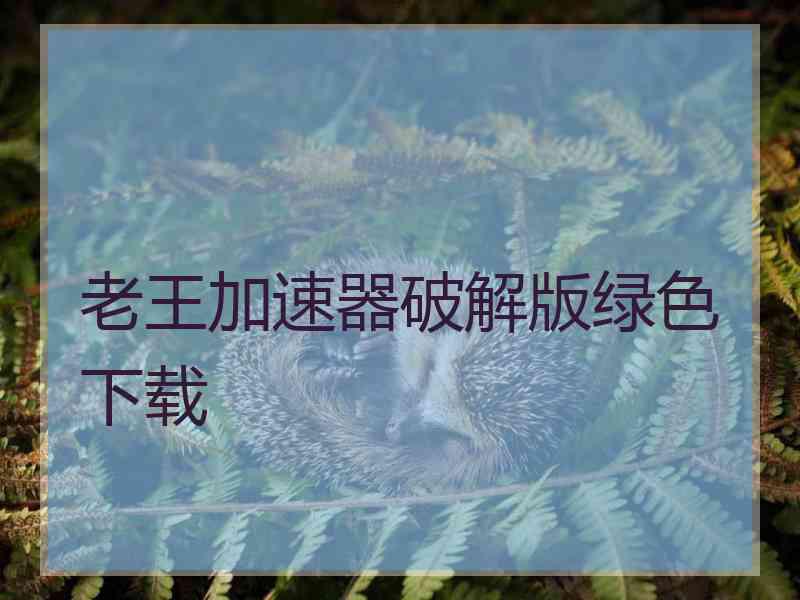 老王加速器破解版绿色下载