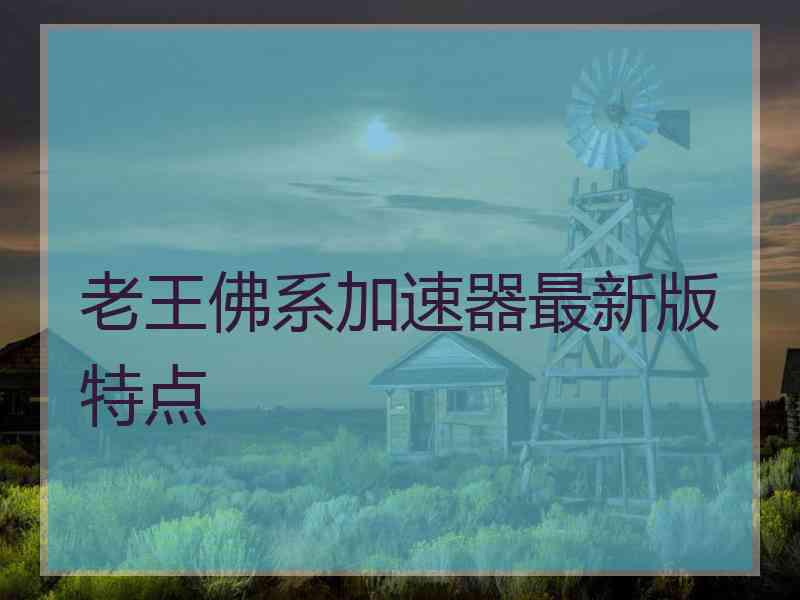 老王佛系加速器最新版特点