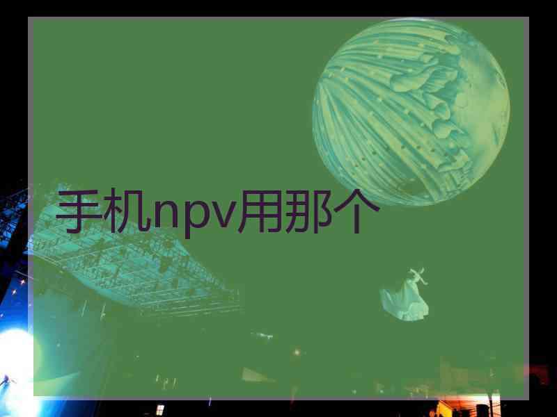 手机npv用那个