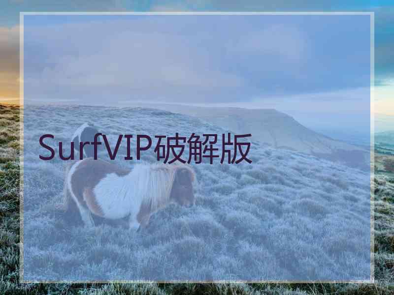 SurfVIP破解版