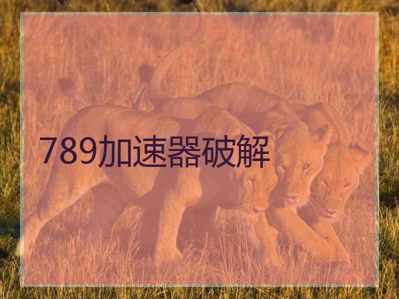 789加速器破解
