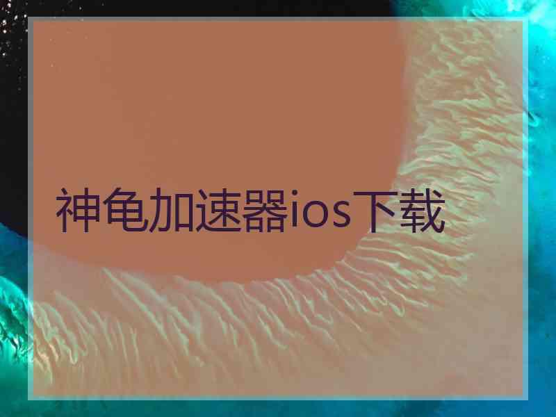 神龟加速器ios下载