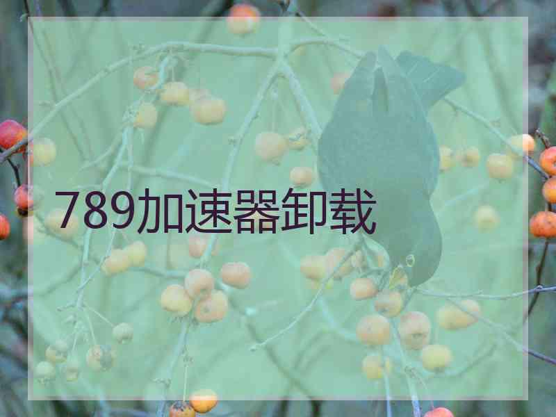 789加速器卸载