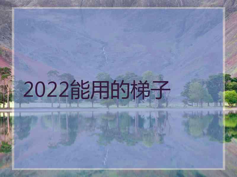 2022能用的梯子