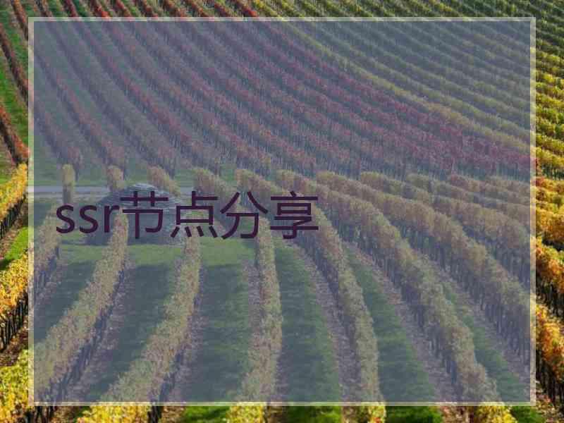 ssr节点分享