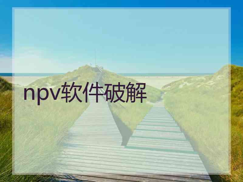 npv软件破解