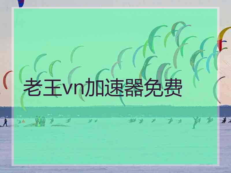 老王vn加速器免费