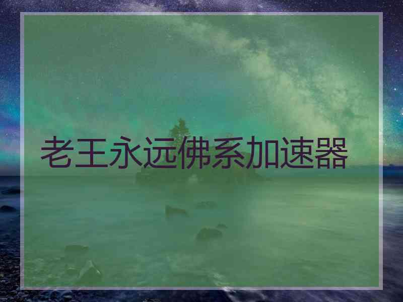 老王永远佛系加速器