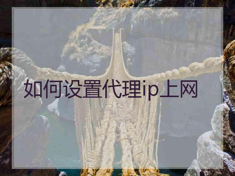 如何设置代理ip上网