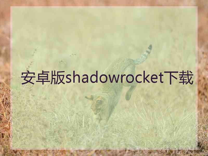 安卓版shadowrocket下载