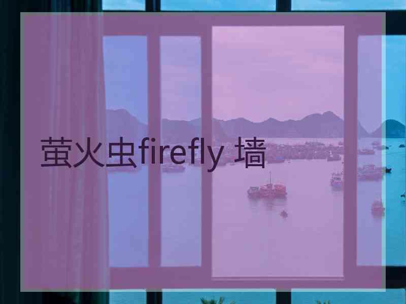 萤火虫firefly 墙