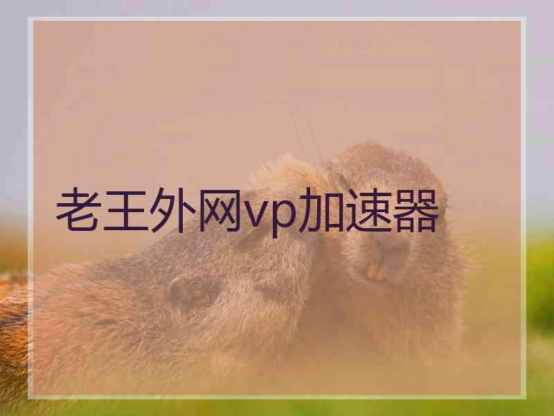 老王外网vp加速器