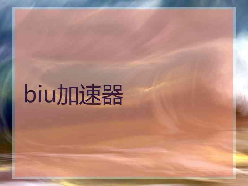 biu加速器