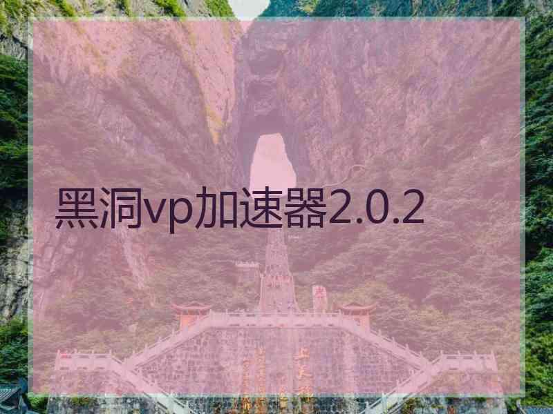 黑洞vp加速器2.0.2