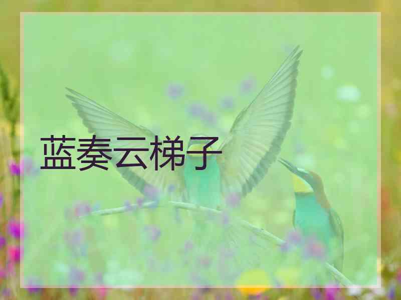 蓝奏云梯子