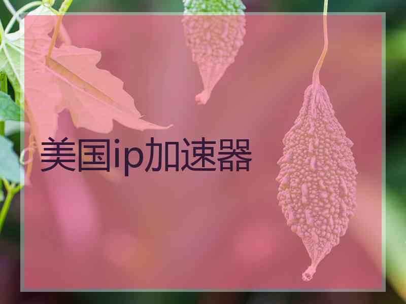 美国ip加速器