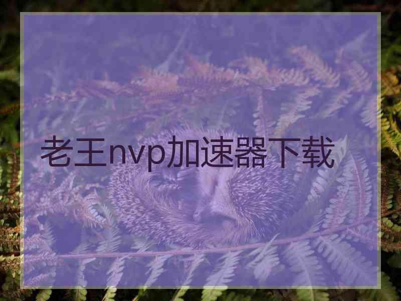 老王nvp加速器下载