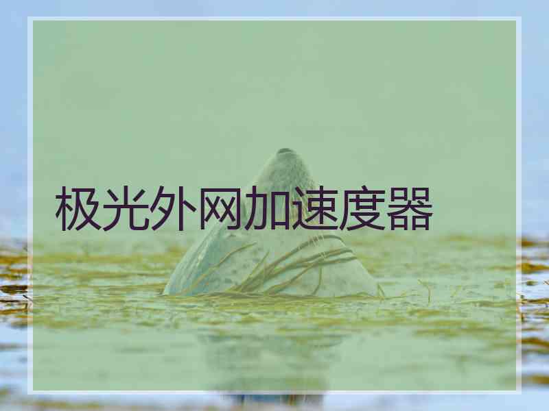 极光外网加速度器