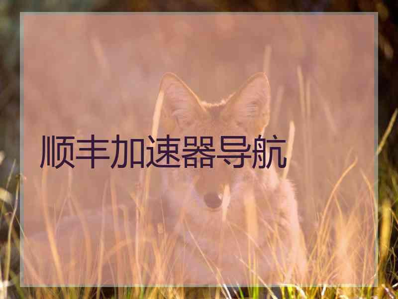 顺丰加速器导航