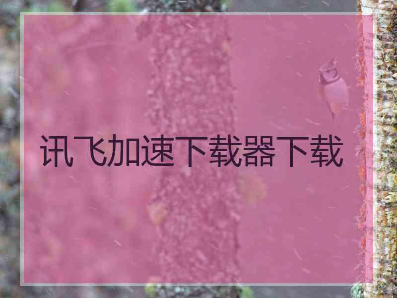 讯飞加速下载器下载